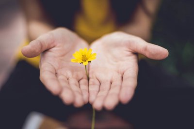 hands+flower
