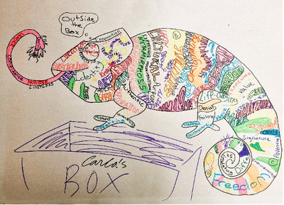 Creativity ‘outside the box’, diversity in the colours, eating the fly ‘risk’